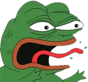 PepeANGRY PepeANGRY