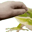 C1_petpetfrog C1_petpetfrog