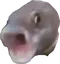 pog_fish