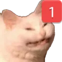 Pingcat Discord Emoji