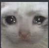 mecry