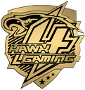 teamHawx Discord emoji