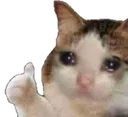sadCatThumbsUp