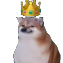 King