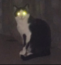unknown Discord emoji