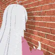 veiDonoWall