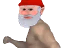 ricardognome