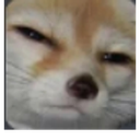 annihilation_suspicious Discord emoji