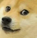 Doge doge Discord Emoji