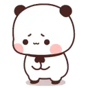PandaShy PandaShy