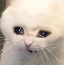 sad_kibby2