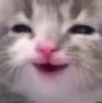 cathehe Discord emoji