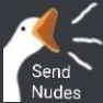sendnudes