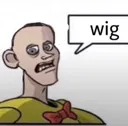 wig