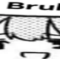 bruhwide