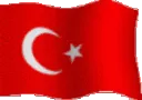 TurkBayragi