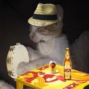 gato
