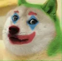 oleg_doge1