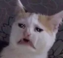 ew