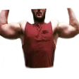 snitzyFLEX