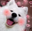 cutestbaby