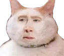 nicholascat