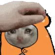 C1_petpetSADcozy