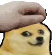 C1_petpetDOGE C1_petpetDOGE