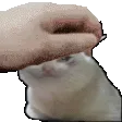 C1_petpetSADcat C1_petpetSADcat