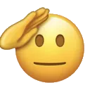 th_salute