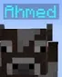 ahmed