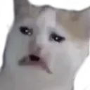 ewcat Discord Emoji