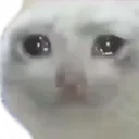 Depressedcat Discord Emoji