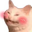 cat_blush_owo Discord Emoji