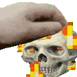 skullpet