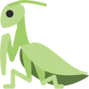 mantis