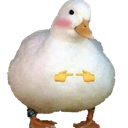 shyduck Discord emoji