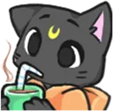 SIPcatto Discord Emoji