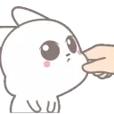 kittypinch