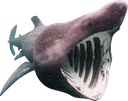 Pogshark pogshark Discord Emoji