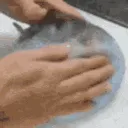 pufferslap