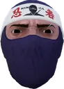 ninja ninja