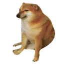 cheems