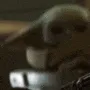 M_TheChildHide