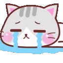 cat_crySoBad