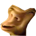 StevenTard StevenTard