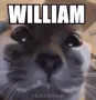 iAMWILLIAM