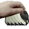centipat