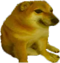 smolcheems smolcheems