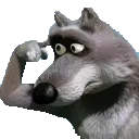 Wolf Wolf